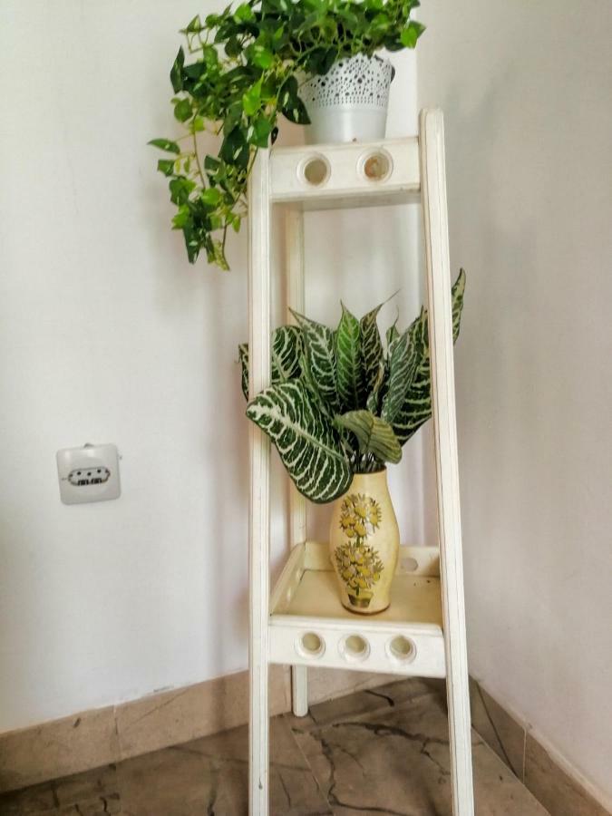 Apartman Damir Sumartin Dış mekan fotoğraf